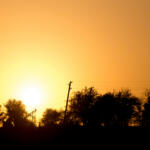 sunset in the park