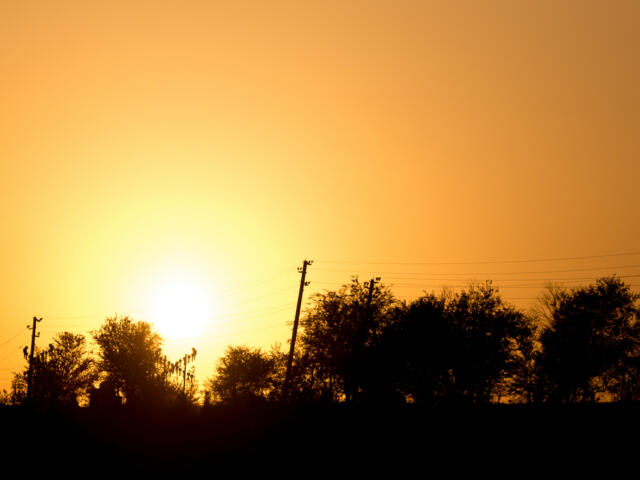sunset in the park