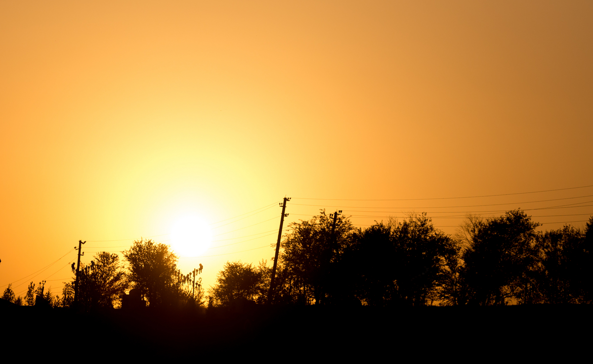 sunset in the park