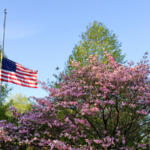 flag at half staff