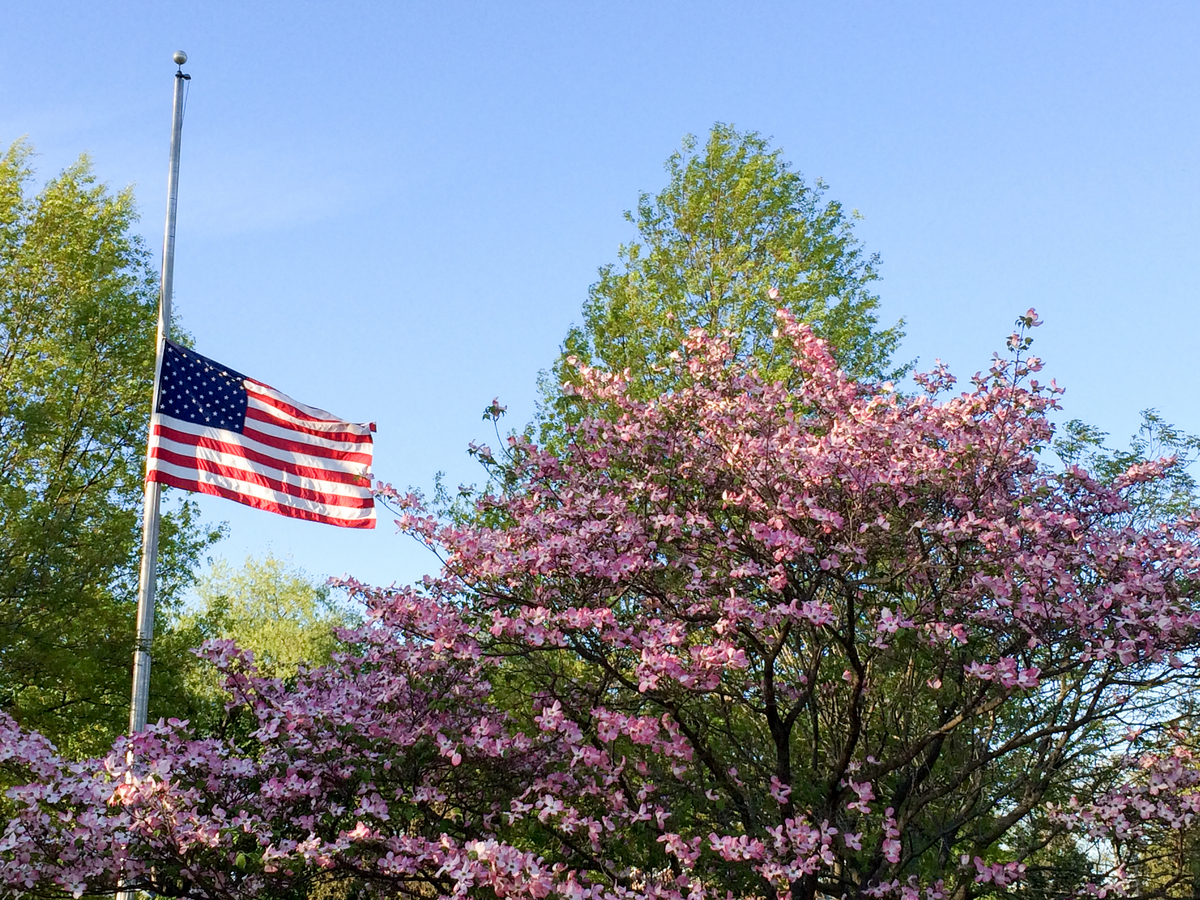 flag at half staff