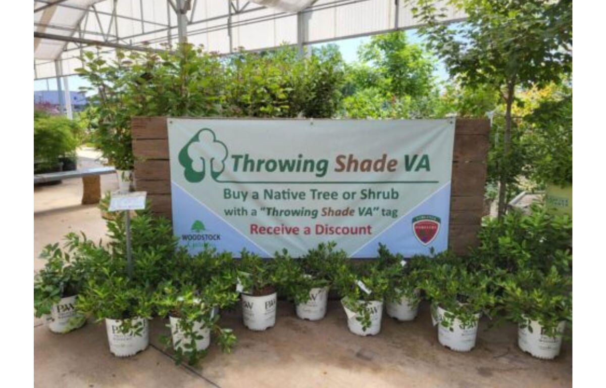A Throwing Shade banner surrounded by plants.