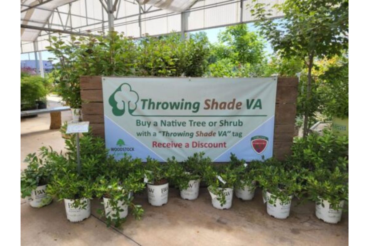 A Throwing Shade banner surrounded by plants.