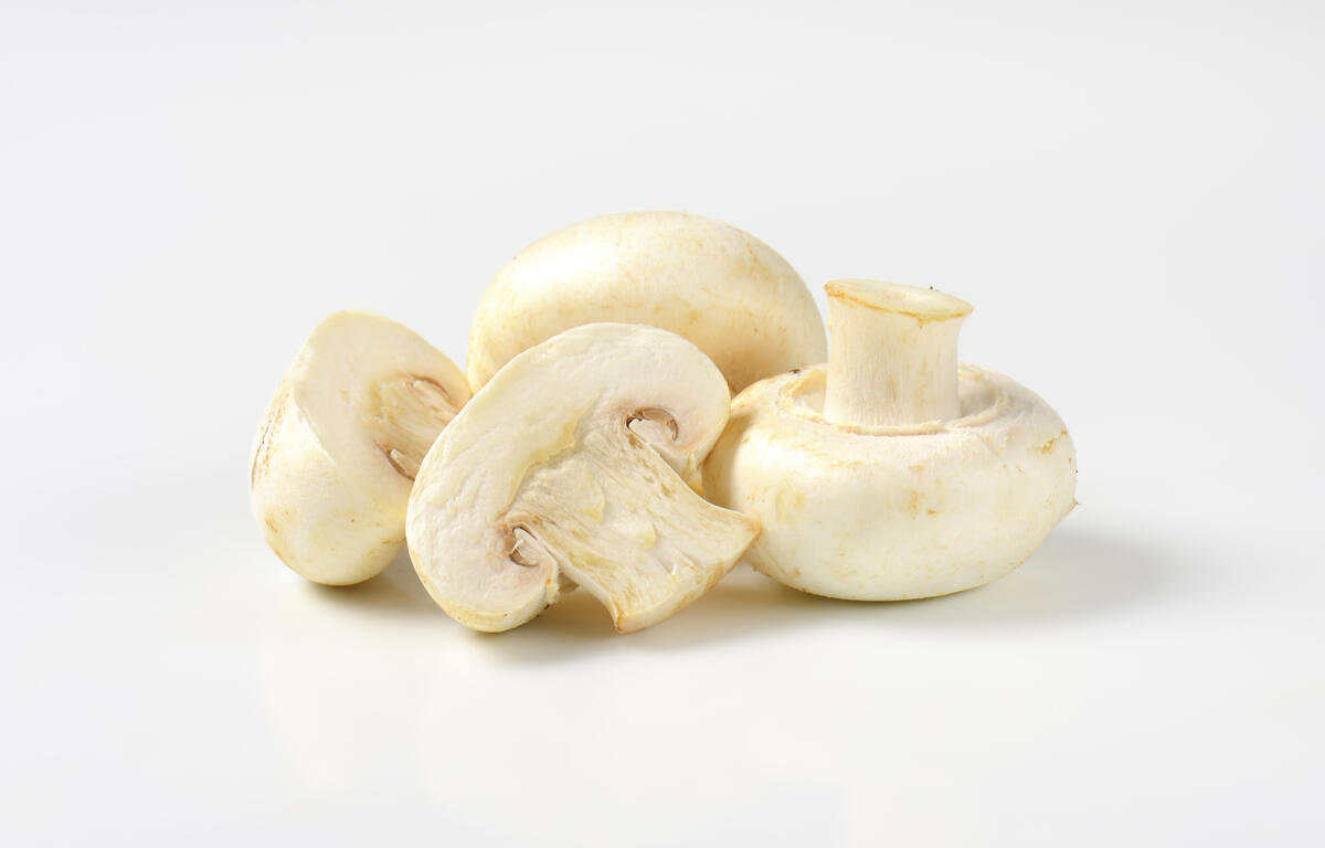 most mushrooms trivia question Pennsylvania