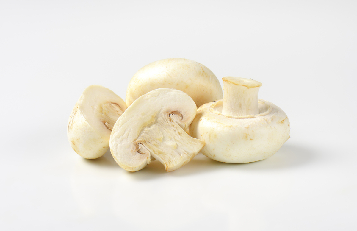 most mushrooms trivia question Pennsylvania