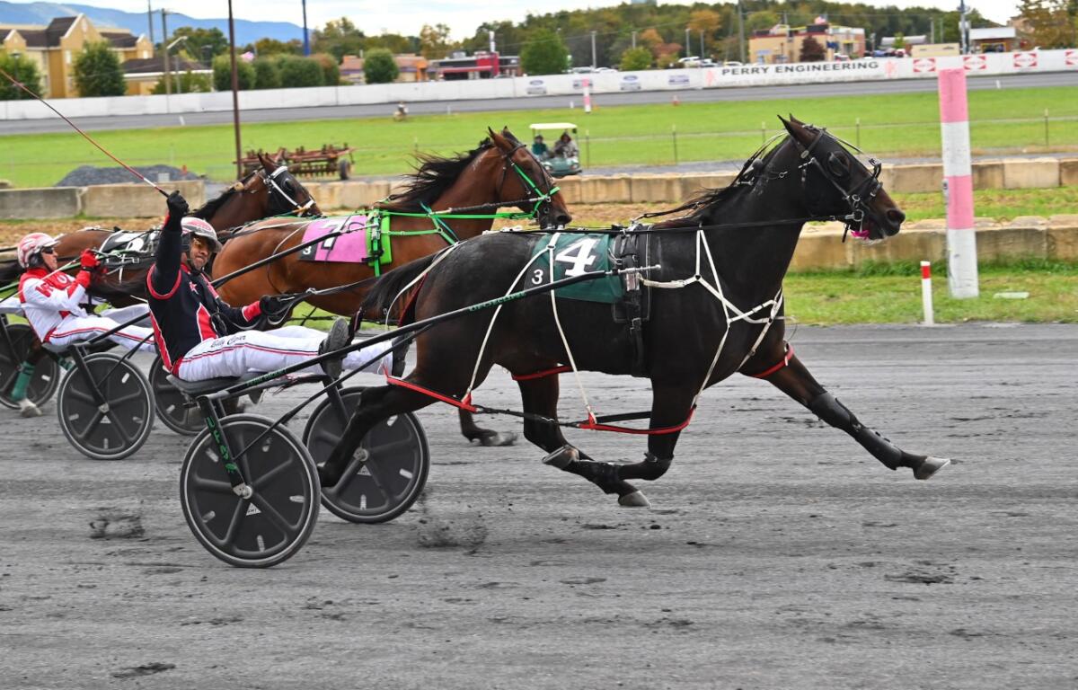 Horse racing Shenandoah Downs Woodstock VA Corgi Dogs Triple Crown betting wagering