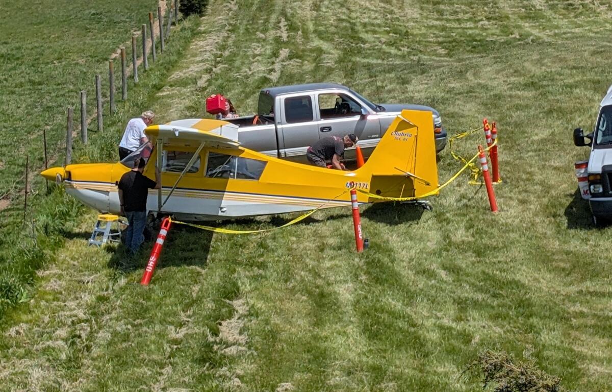 A small yellow plane in a grass field.