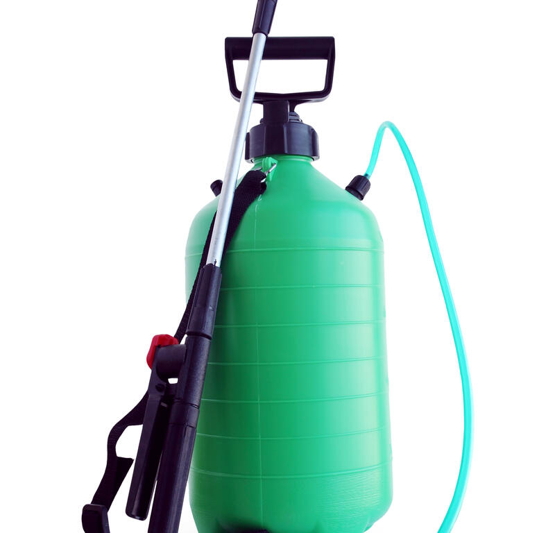 chemicals spraying gardening insects pests andre viette in the garden
