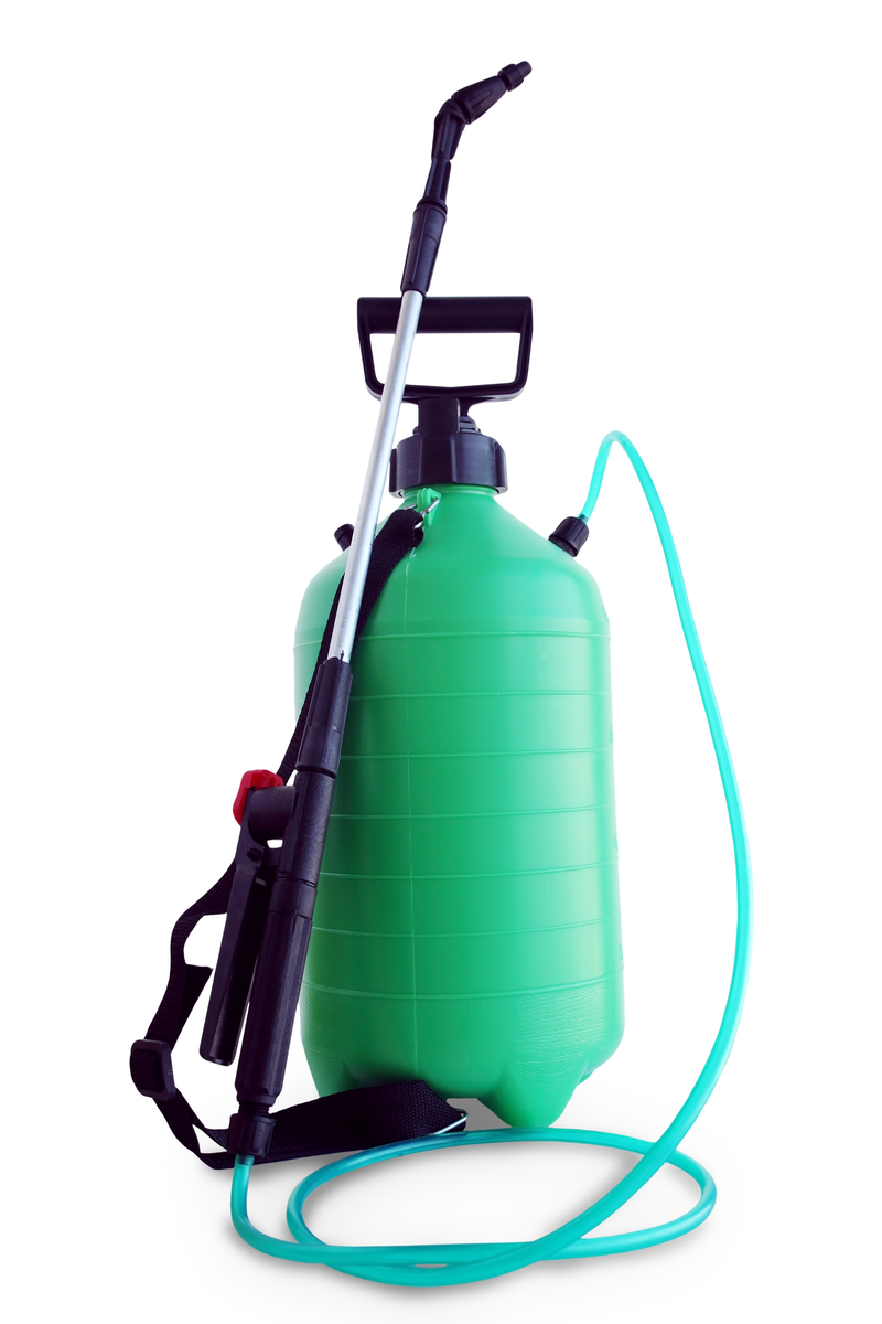 chemicals spraying gardening insects pests andre viette in the garden