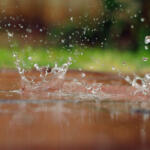 rainfall