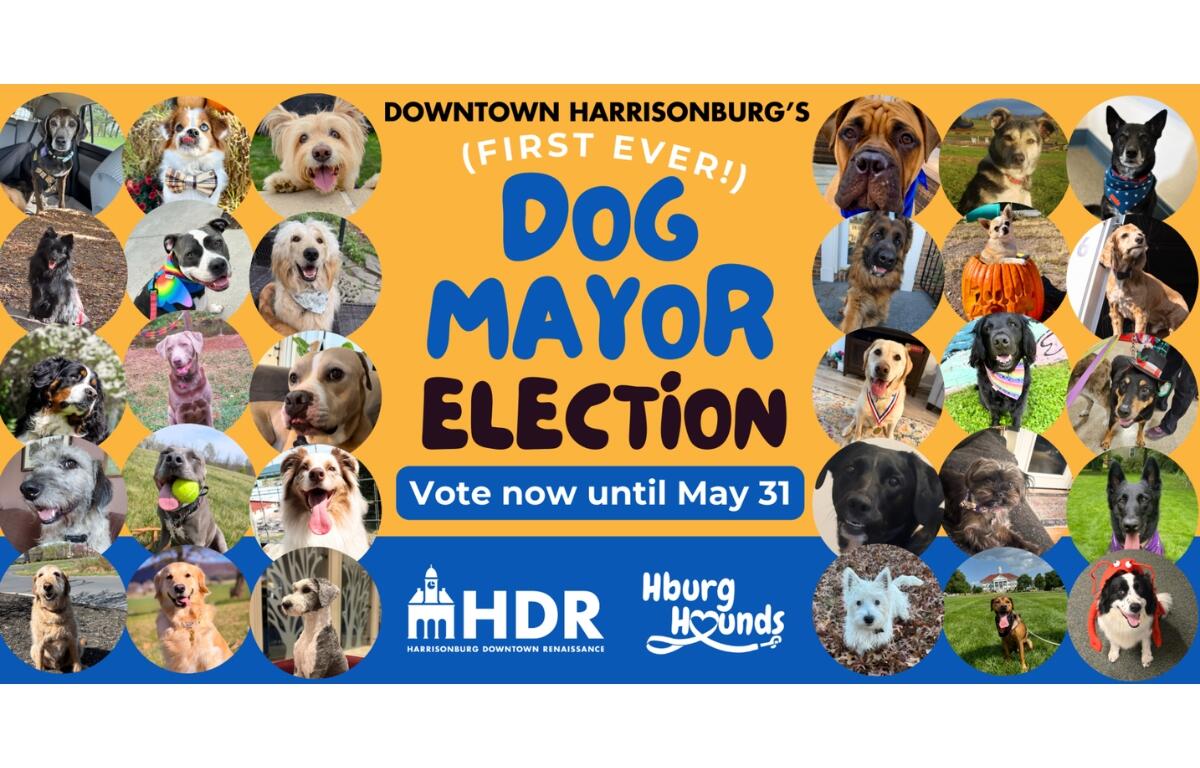 All of the nominees for the Harrisonburg Dog Mayor election.