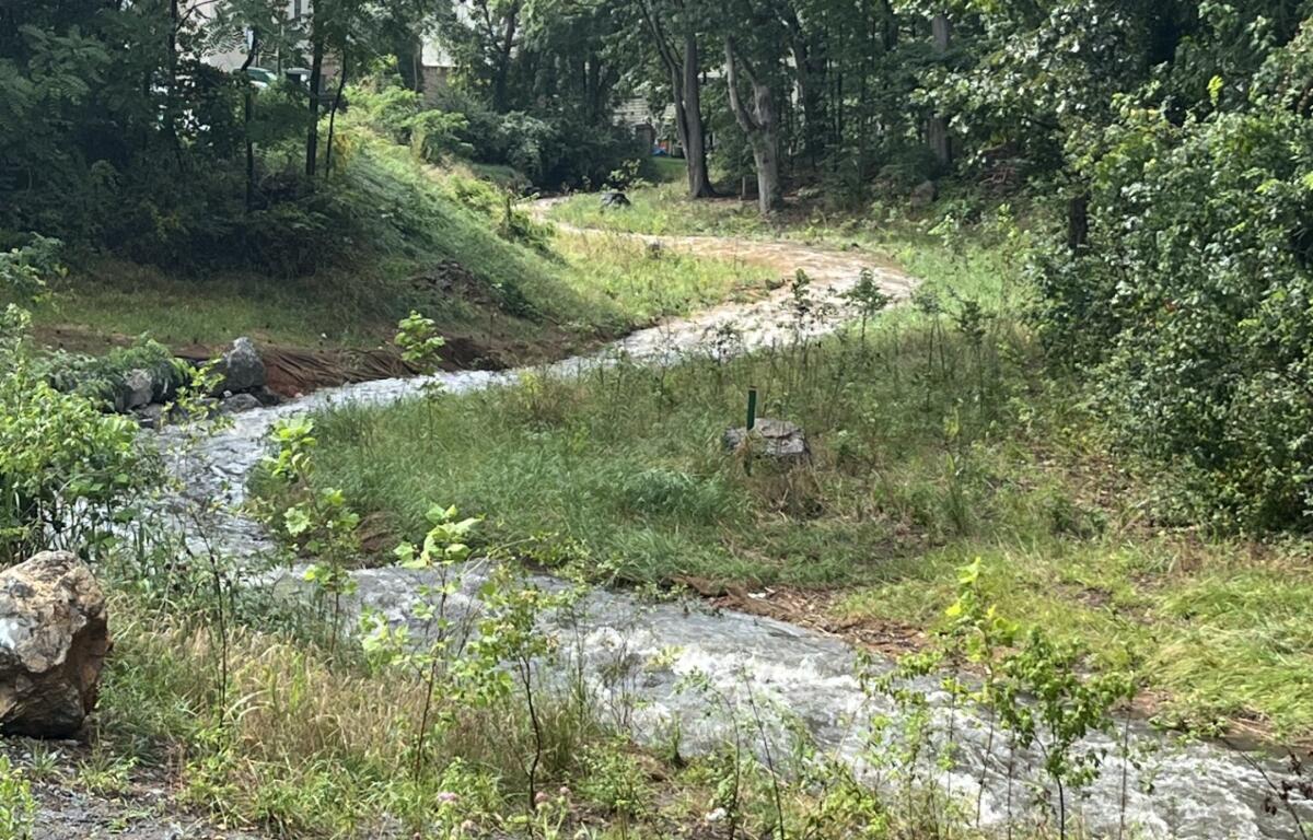A winding Smith Creek.