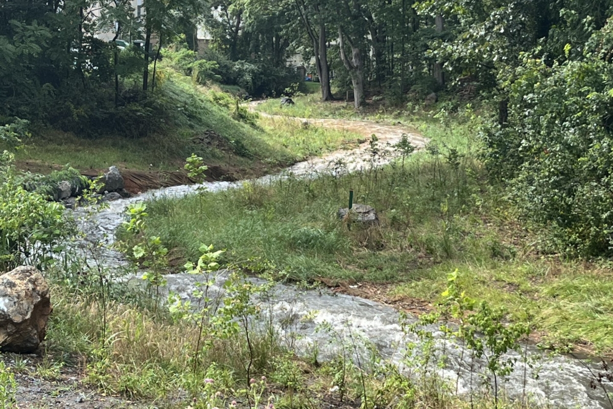 A winding Smith Creek.