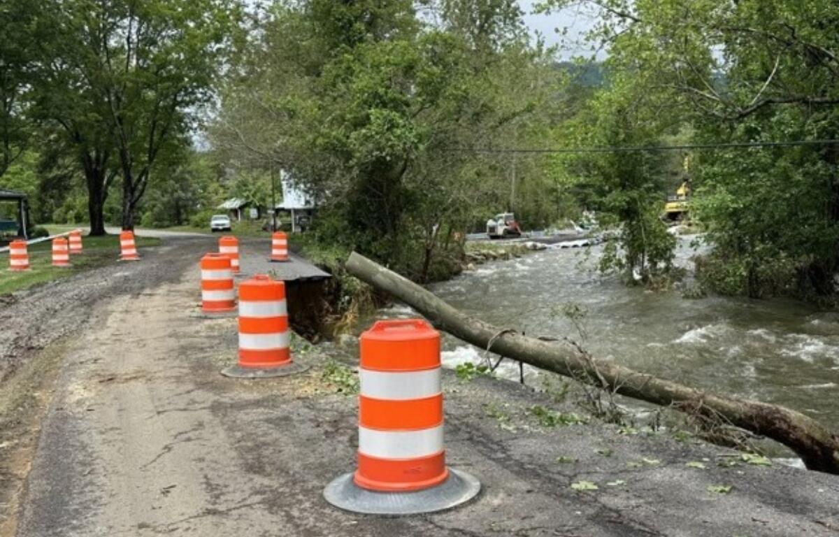 Part of a road and a tree in high rise water.