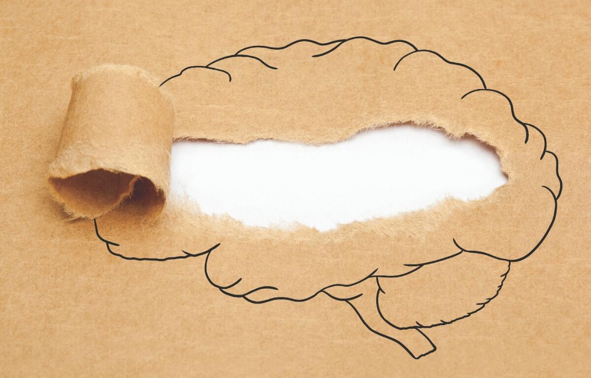 A drawing of a brain with the paper ripped.