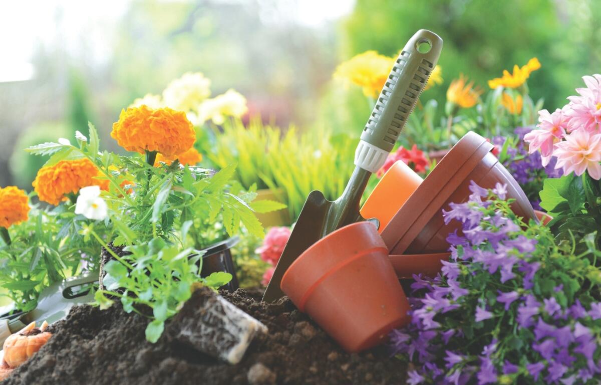 A flower garden with planters and a hand shovel.