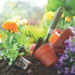 A flower garden with planters and a hand shovel.