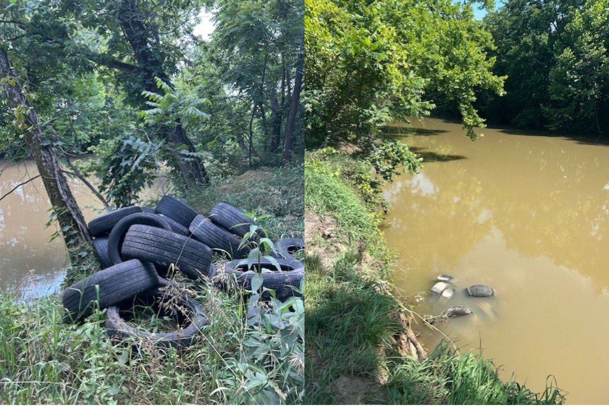 Tires discarded in the Middle River