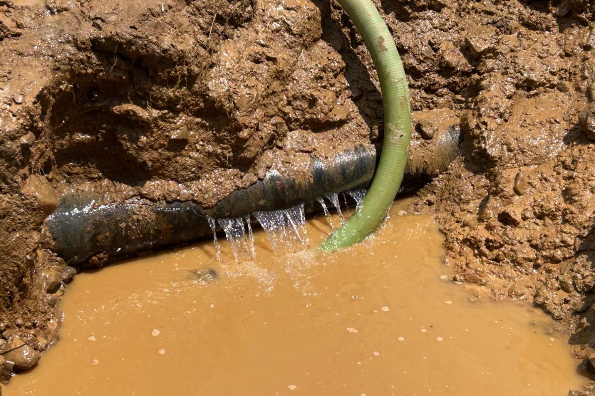 Timberville main water line hit