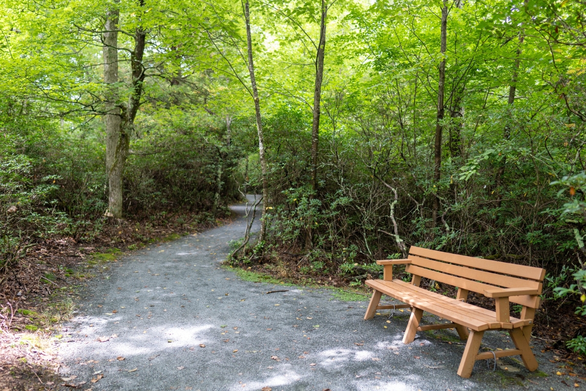 A trail with a bench at Shenandoah National Park.