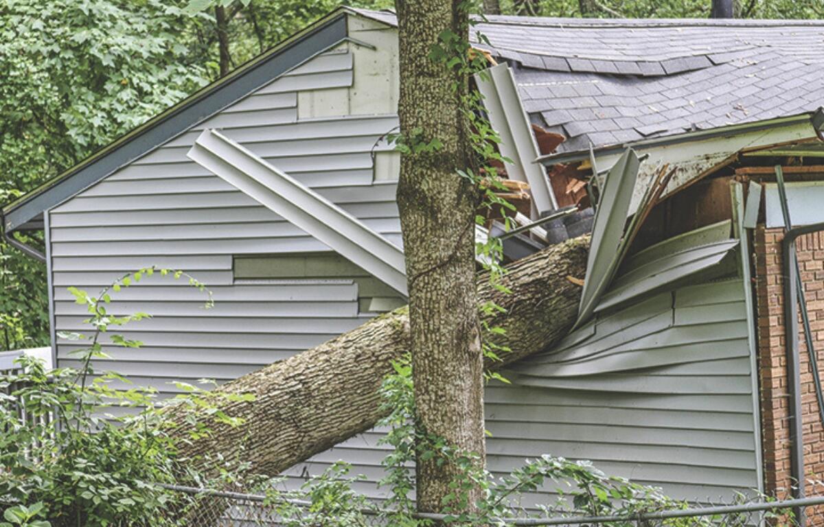 A tree fallen on a house.