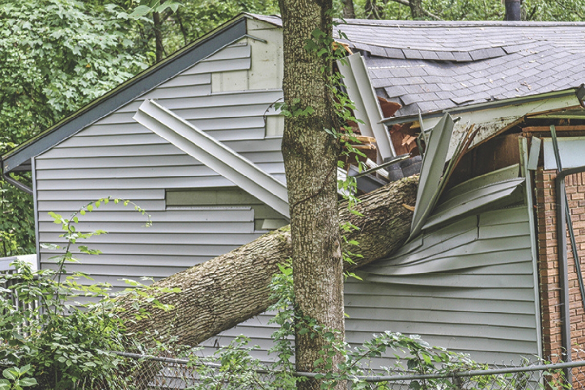 A tree fallen on a house.