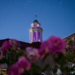 Aerial Sunset Vibrant Main Students Alumni Golden Wilson