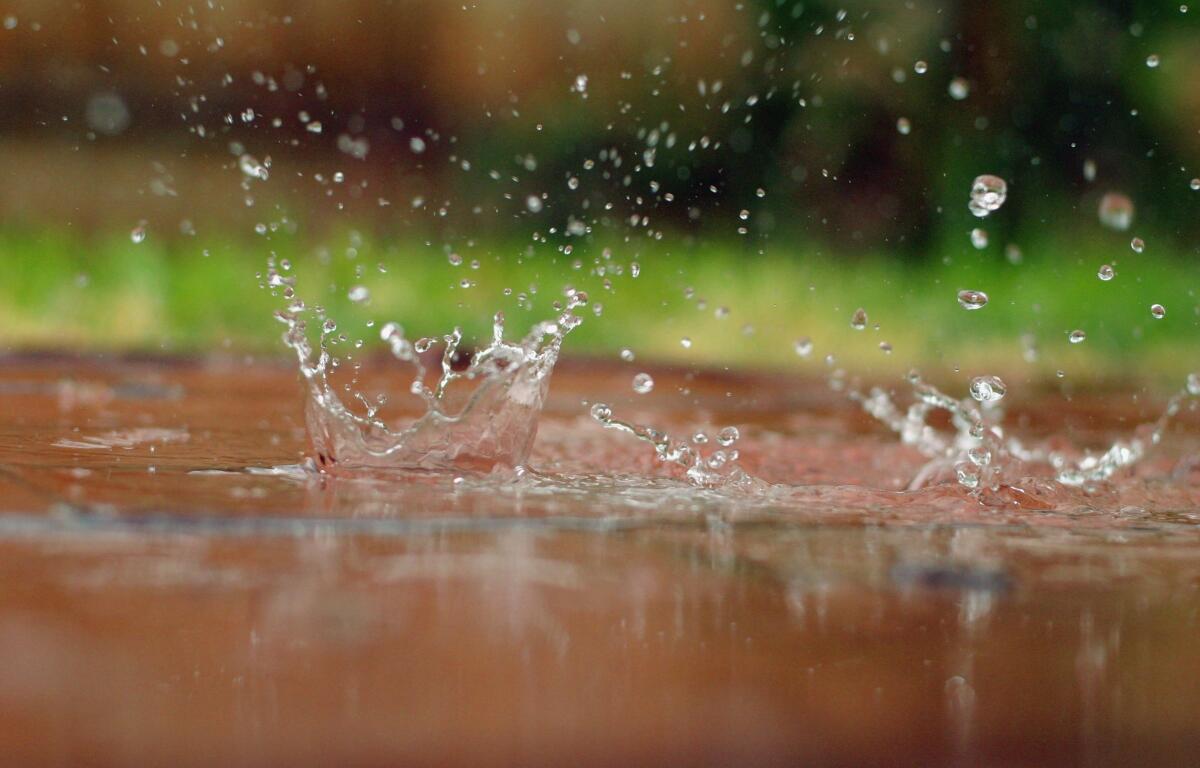 Rain splashing in a puddle.