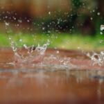 Rain splashing in a puddle.