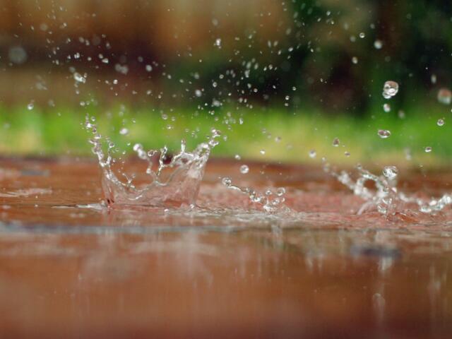 Rain splashing in a puddle.