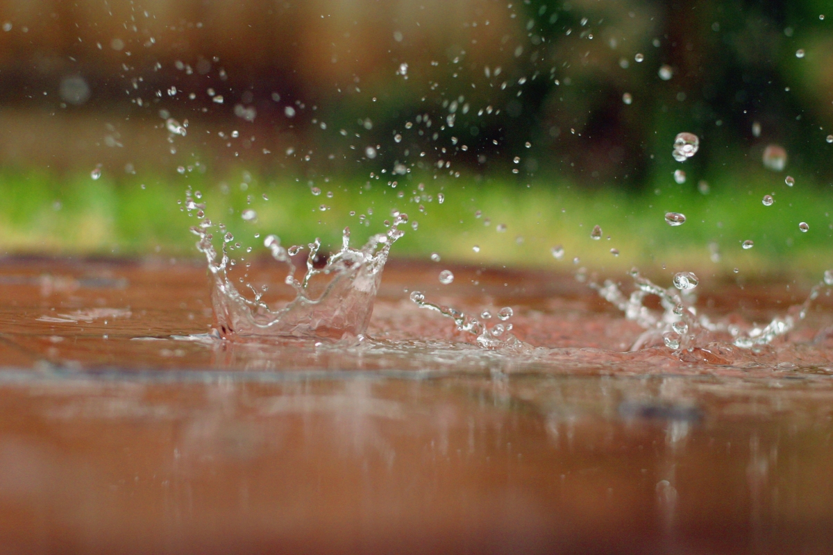 Rain splashing in a puddle.