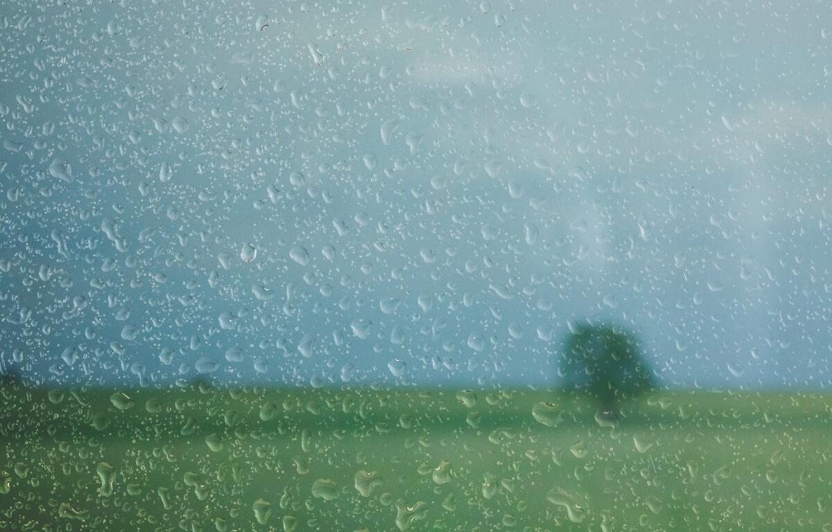 Rain drops on a window overlooking a grassy field.