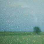 Rain drops on a window overlooking a grassy field.