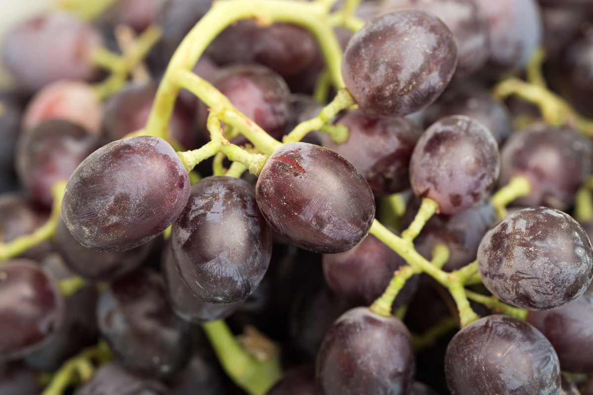 Grapes
