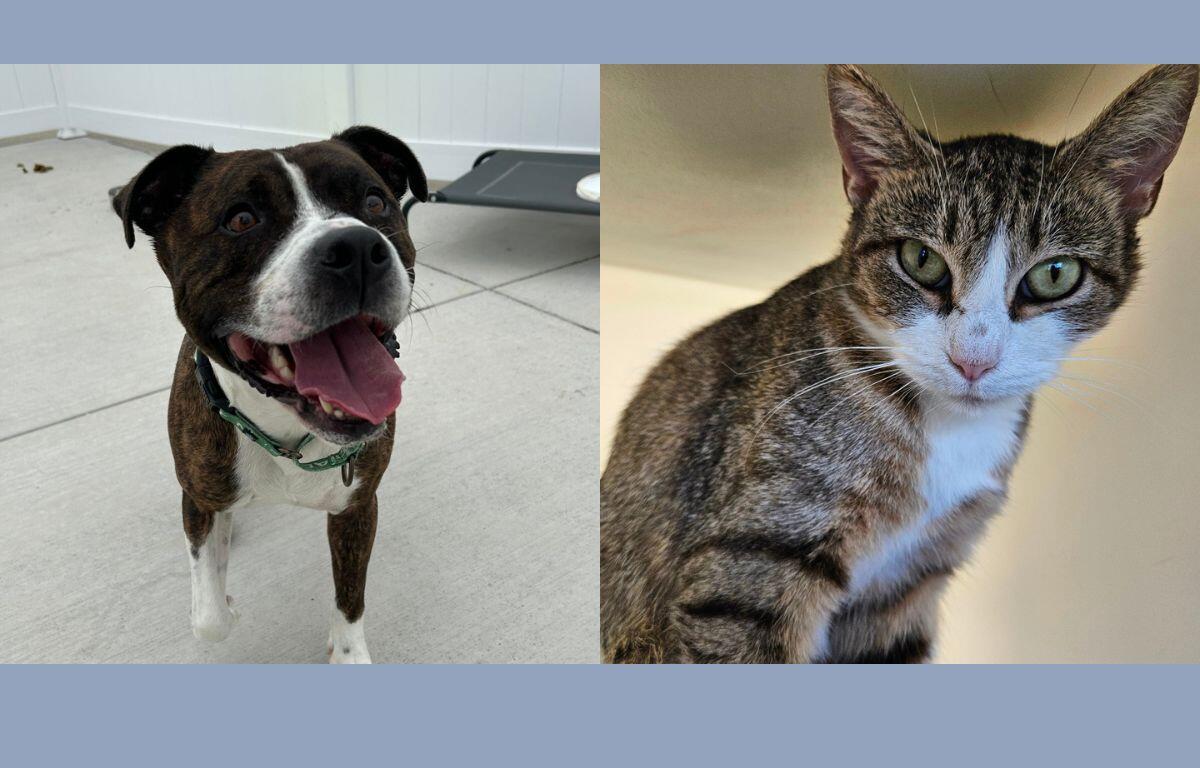 Boe (left) and Drake (right)