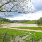 Standing water on a farm.