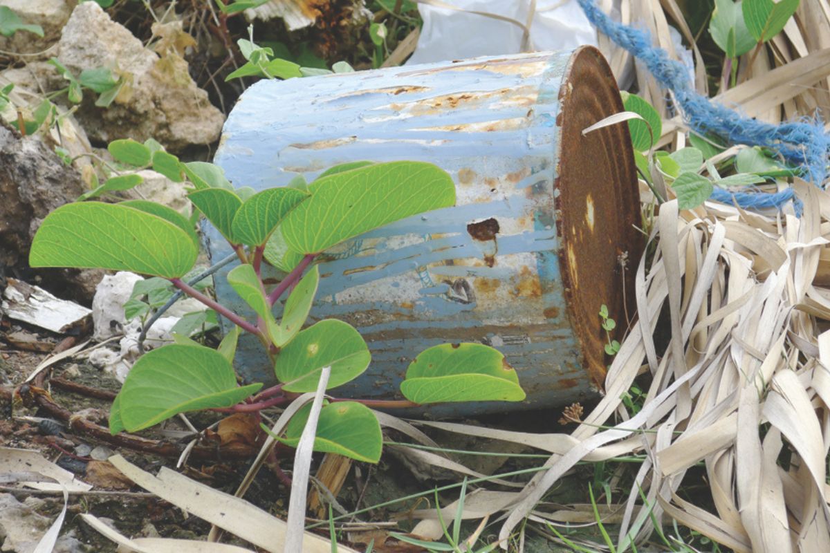 bucket of paint with waste