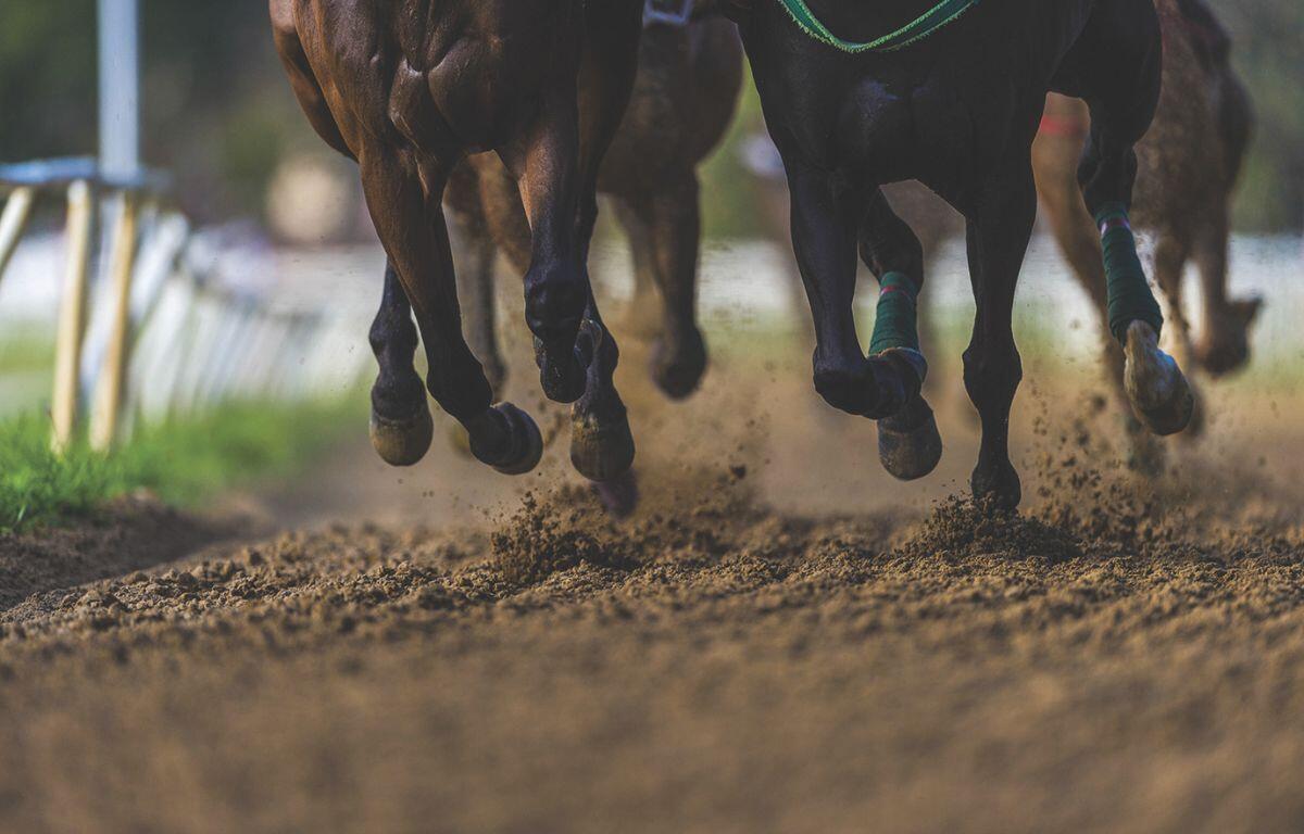 Horses racing