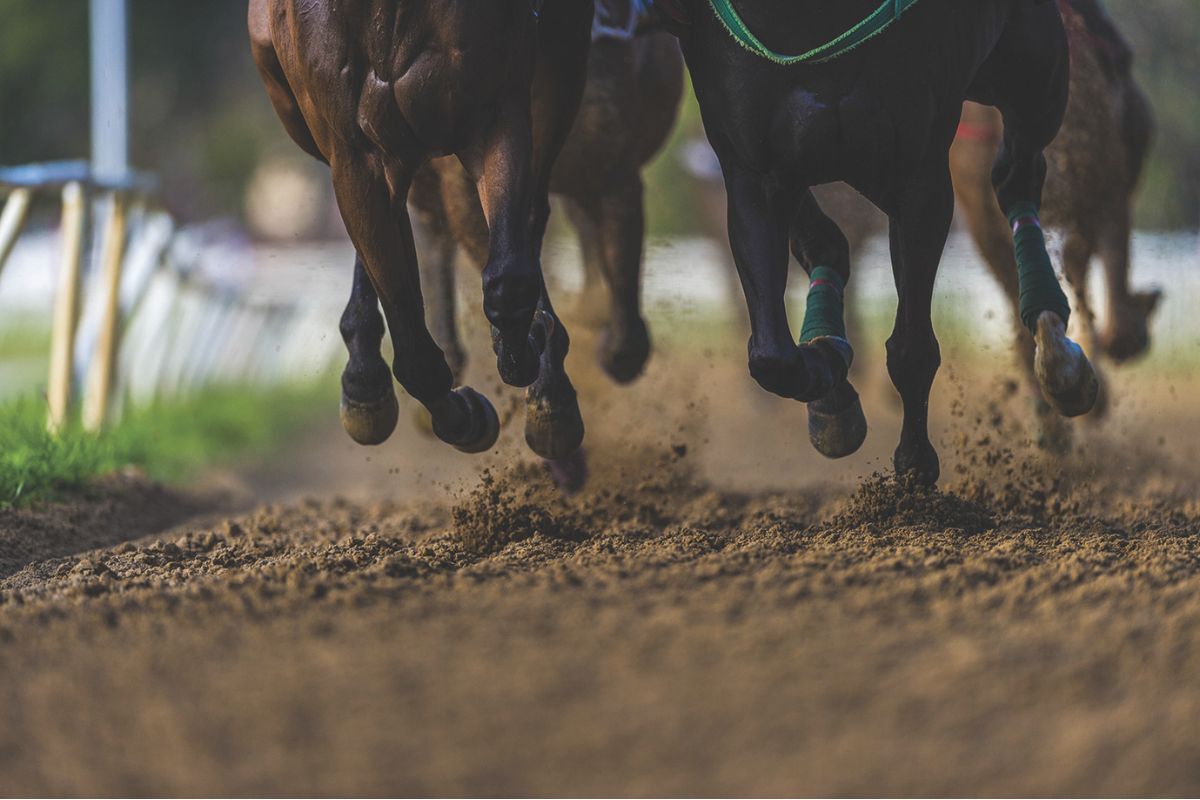Horses racing