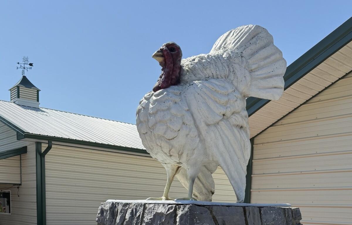 Rockingham County VA Poultry Turkey history anniversary celebration music