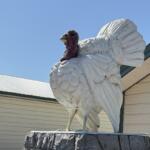 Rockingham County VA Poultry Turkey history anniversary celebration music