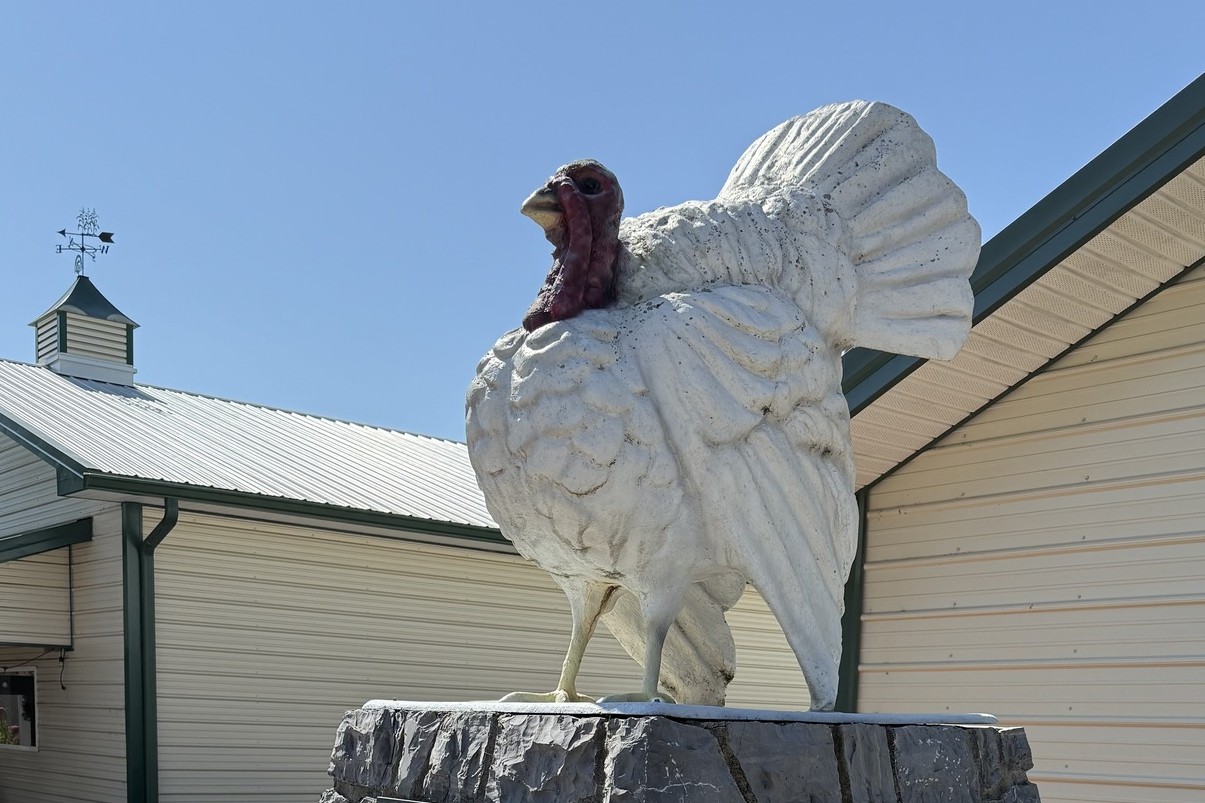 Rockingham County VA Poultry Turkey history anniversary celebration music