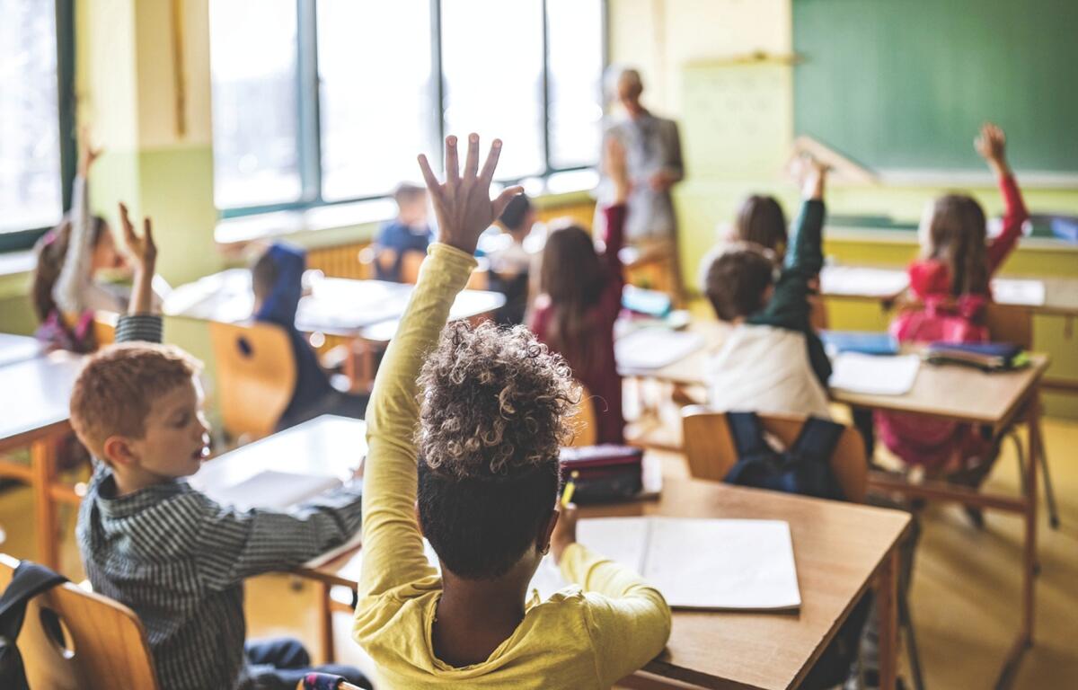 Students raising their hands in a classroom