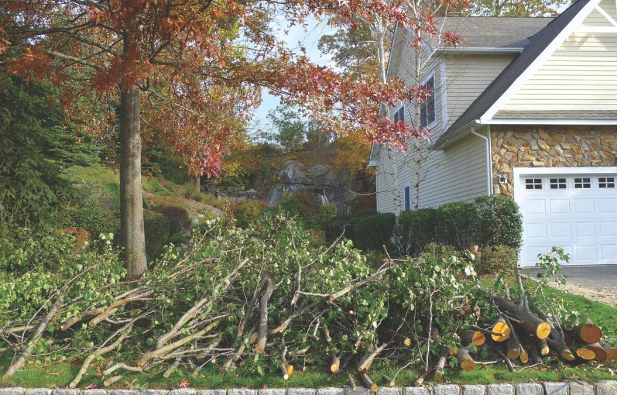 A pile of yard debris and branches sitting by the street in a yard.