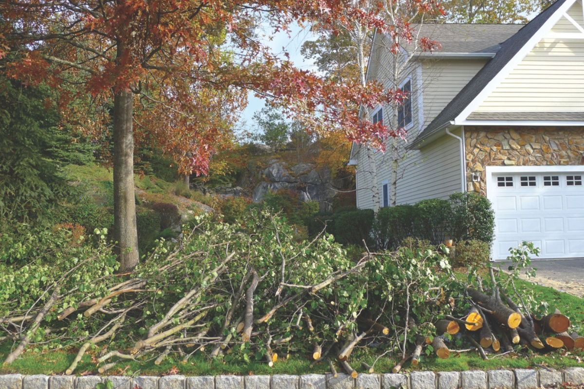 A pile of yard debris and branches sitting by the street in a yard.