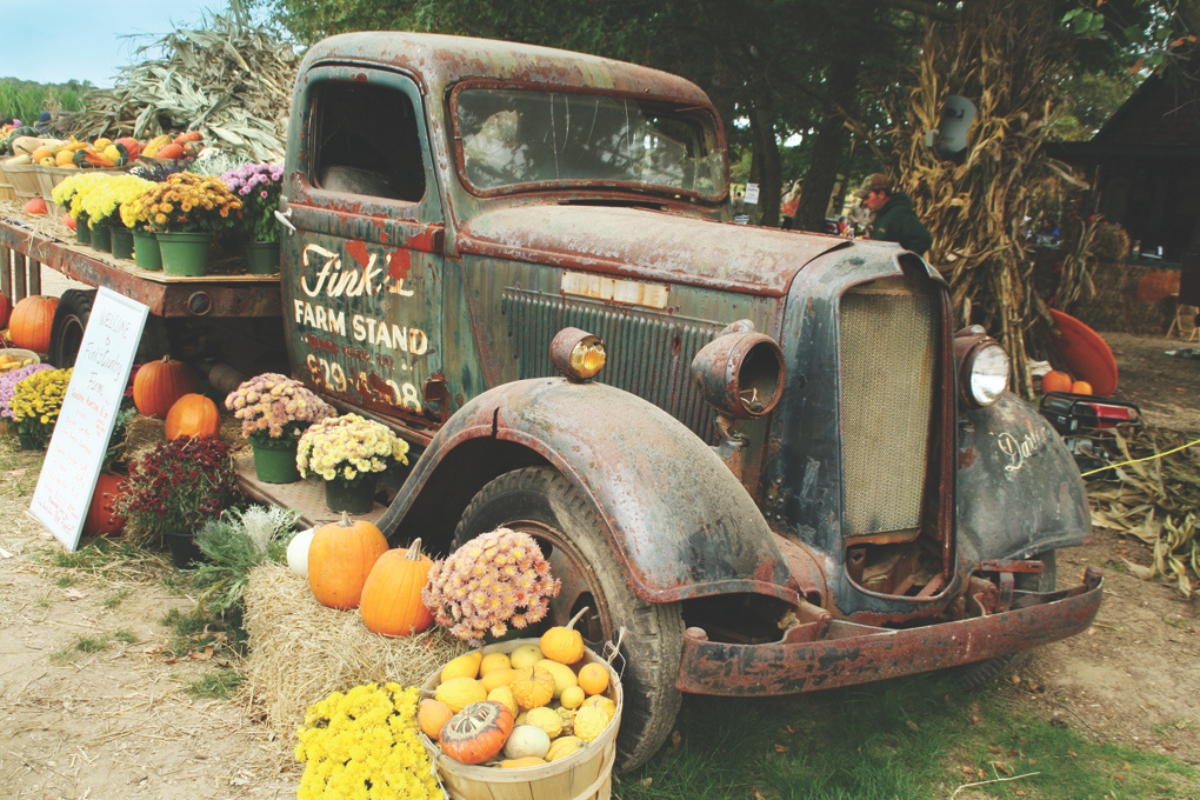 Lots of pumpkins and mums around an old truck.