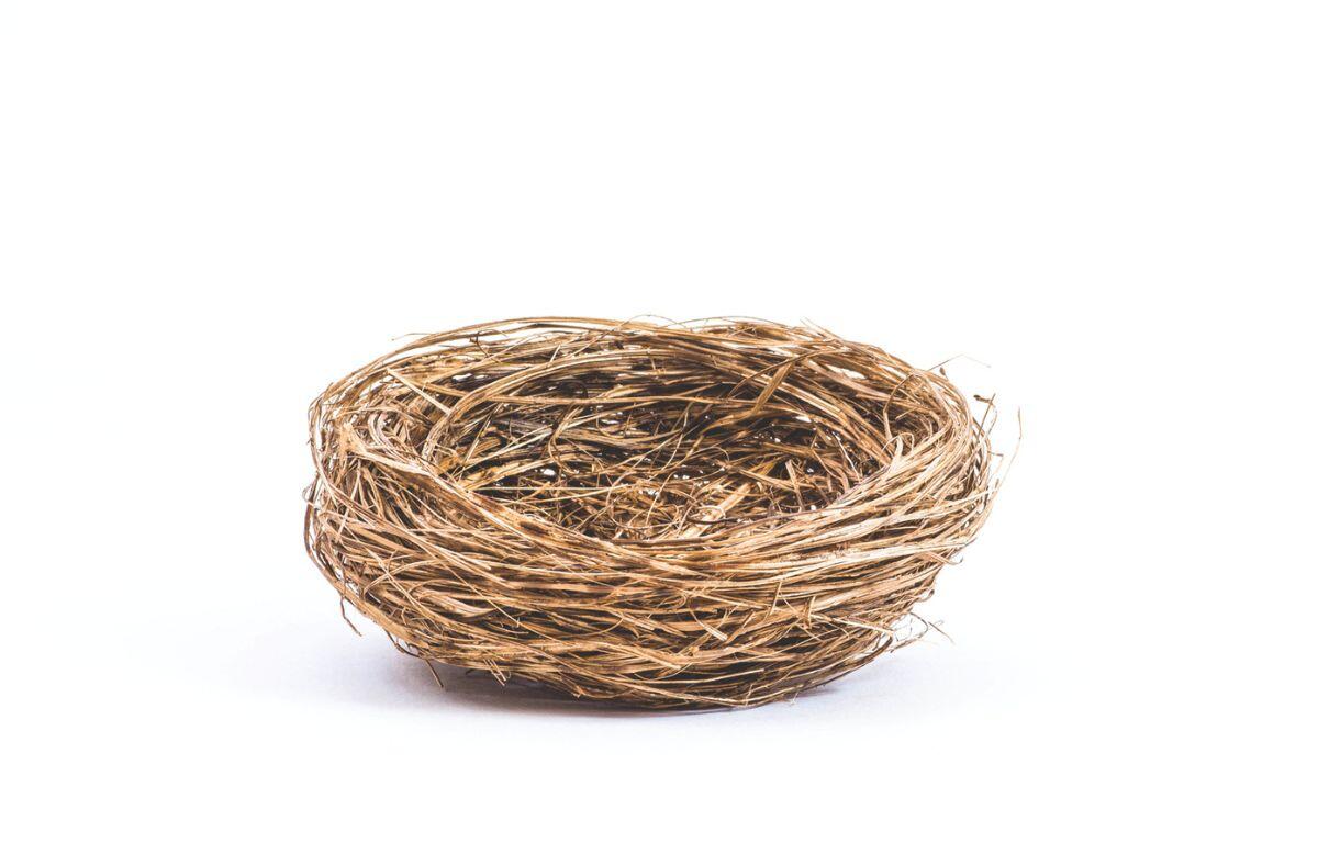 Nest