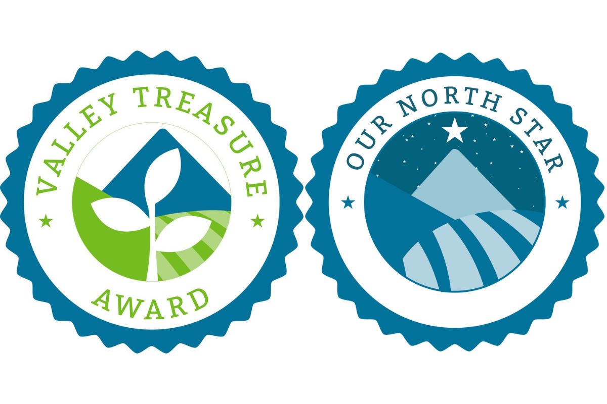 Valley Treasure Award and Our North Star Award seals