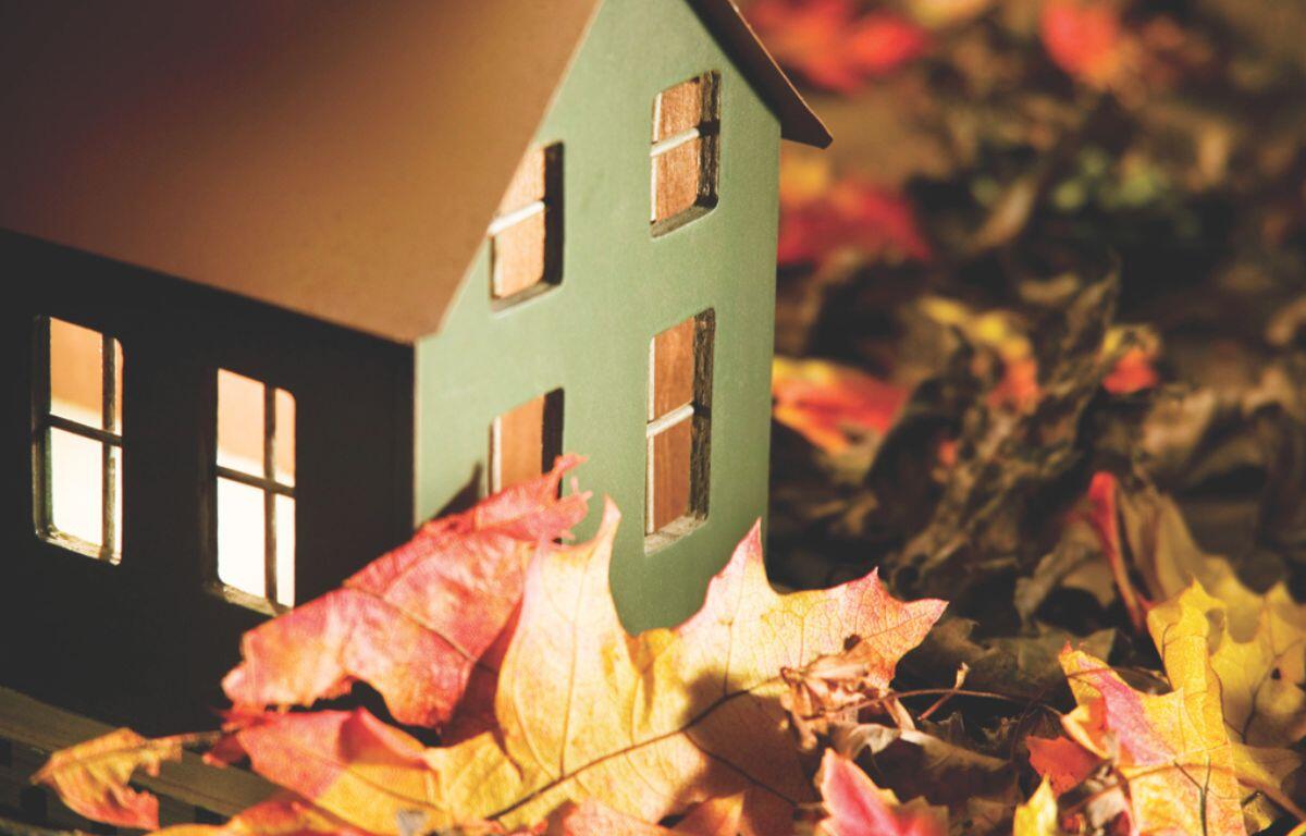 Small house surrounded by leaves