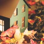 Small house surrounded by leaves